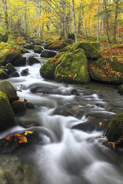 Mountain river in late Autumn — Stock Photo, Image