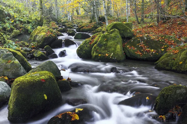 Mountain river in late Autumn — Stock Photo, Image