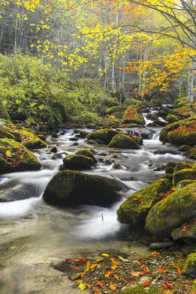 Mountain river in late Autumn — Stock Photo, Image