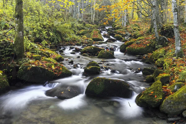 Mountain river in late Autumn — Stock Photo, Image