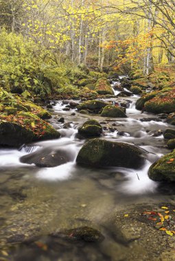 Sonbaharın sonlarında dağ nehri