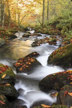 Sonbaharın sonlarında dağ nehri