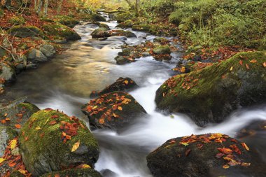 Sonbaharın sonlarında dağ nehri
