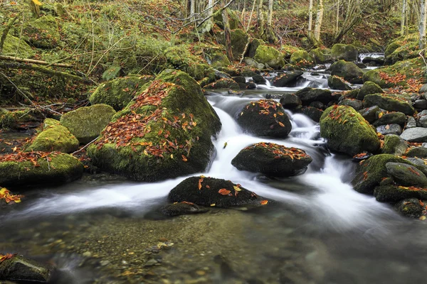 Mountain river in late Autumn — Stock Photo, Image