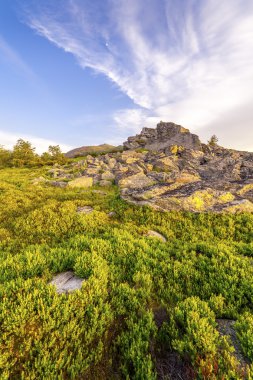 gün batımı yeşil alanda