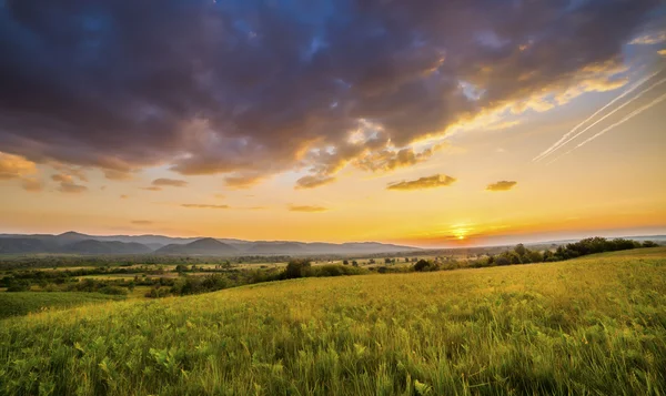 Dramatischer Sonnenuntergang über grünem Feld — Stockfoto