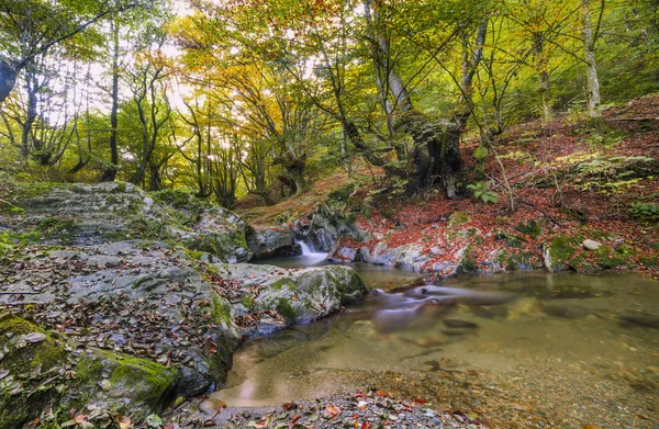 Río de montaña a finales de otoño — Foto de Stock