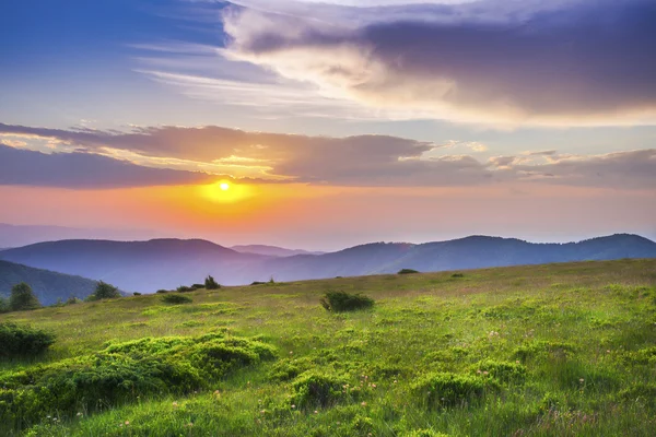 Puesta de sol sobre campo verde — Foto de Stock