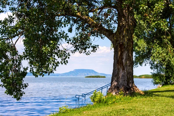 Jezero balaton v létě — Stock fotografie