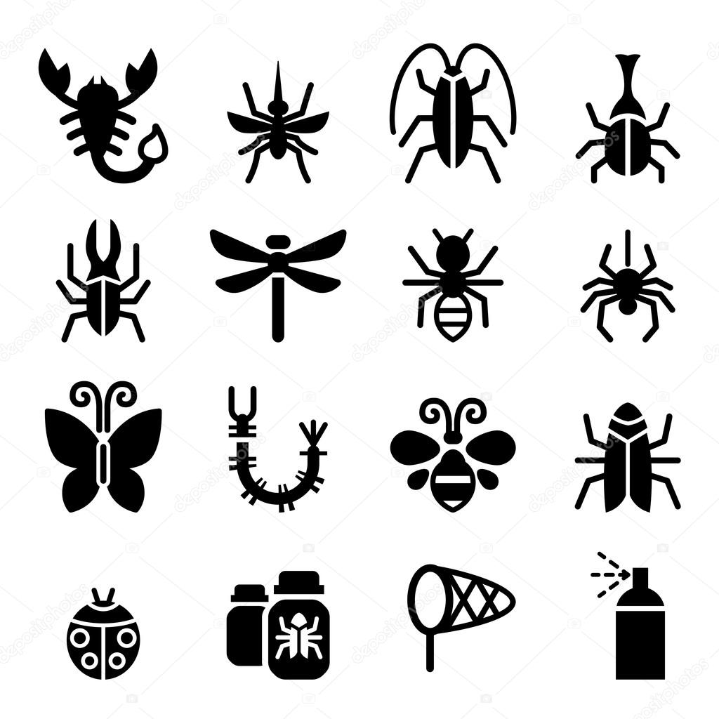 Bug & Insect icon  set vector illustration  symbol