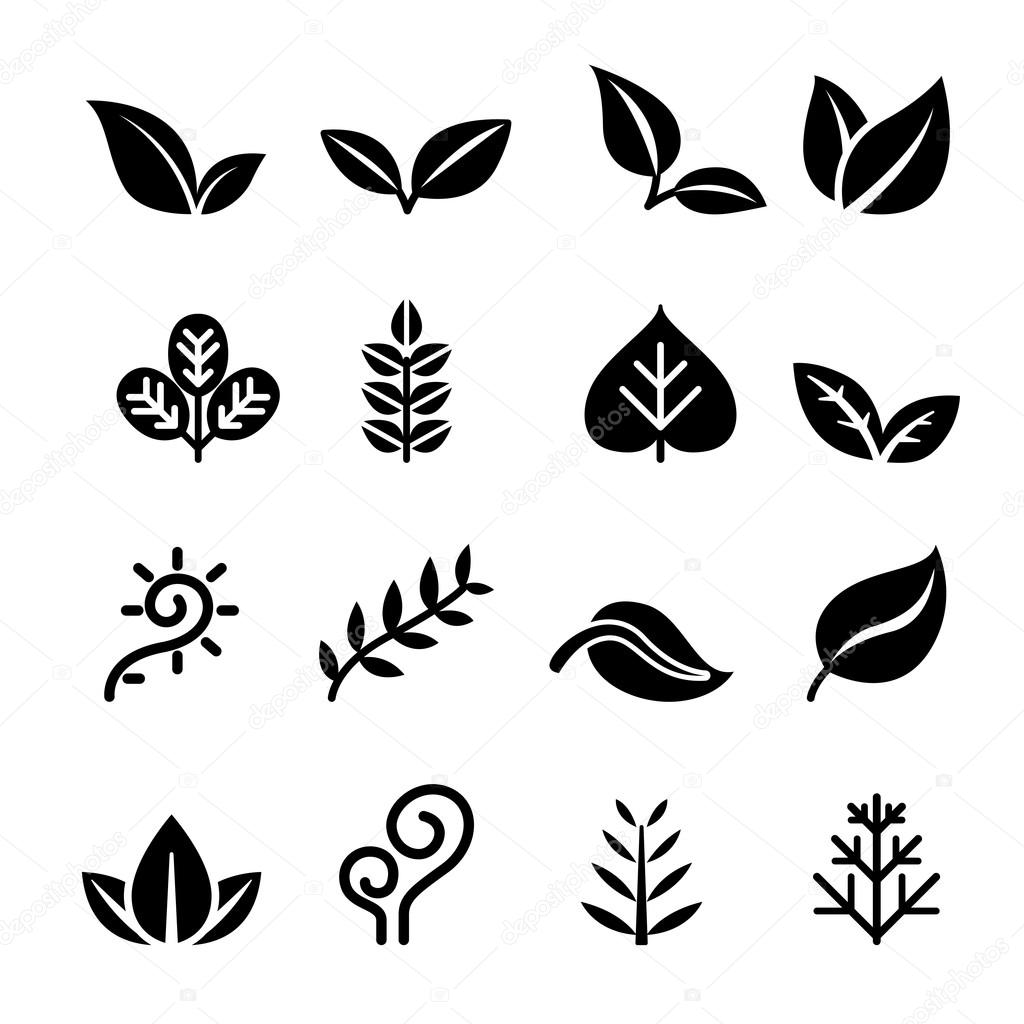 Leaf ,Plant, Herb , vegetation , icon set