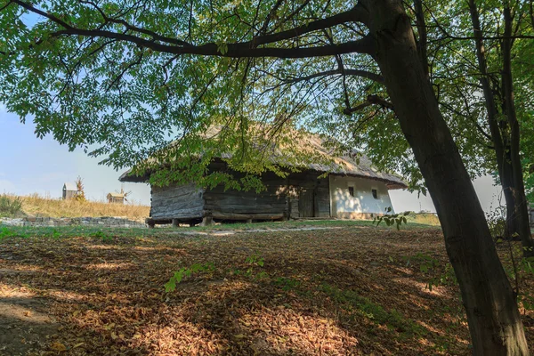 Altes Bauernhaus im Schatten der Bäume. pirogovo, Ukraine — Stockfoto