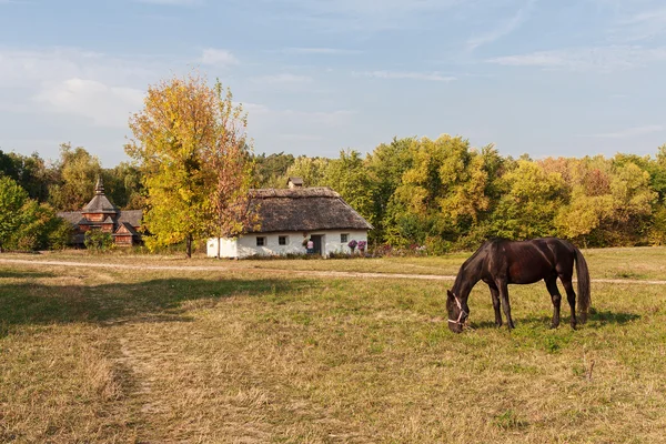 Oud huis van boeren en paard in een weide grazen. Pirogovo, Oekraïne — Stockfoto