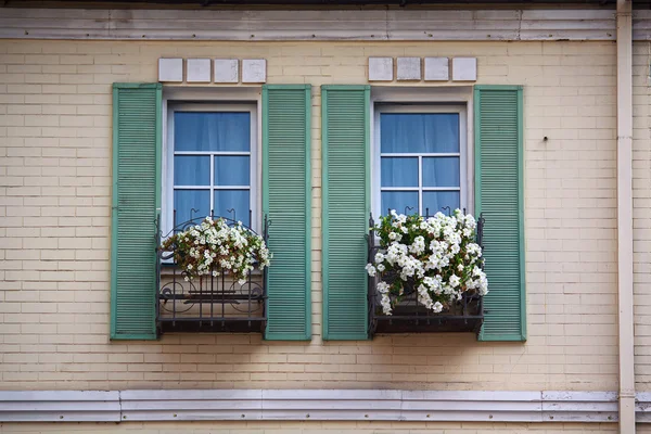 Hermosa ventana con caja de flores y persianas. Arquitectura — Foto de Stock