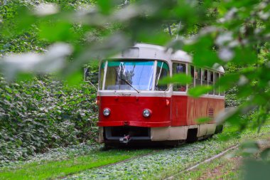 Kırmızı tramvay sonbahar ağaçlarının tünelinde seyahat. Kiev, Ukrayna