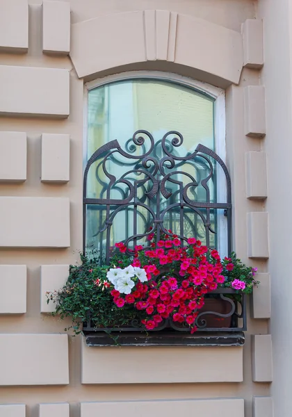 Window in a classic style and a box of flowers. Architecture — Stock Photo, Image