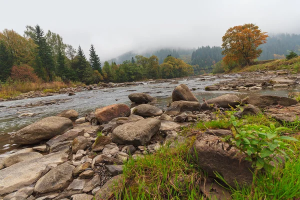 Río, rocas y montañas en la niebla. Cárpatos —  Fotos de Stock