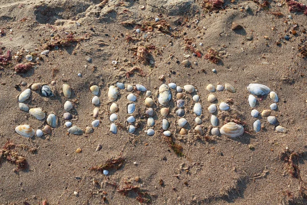Parola "estate" costruita di conchiglie sulla sabbia. Contesto — Foto Stock