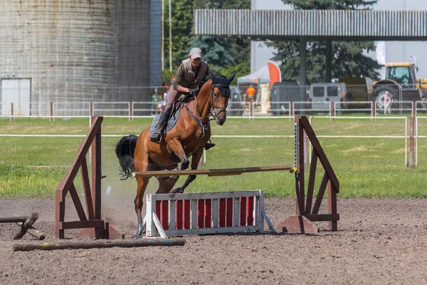 Kiev, Ucraina - 09 giugno 2016: Horsewoman ha bussato alla barriera durante l'allenamento per lo sport equestre — Foto Stock