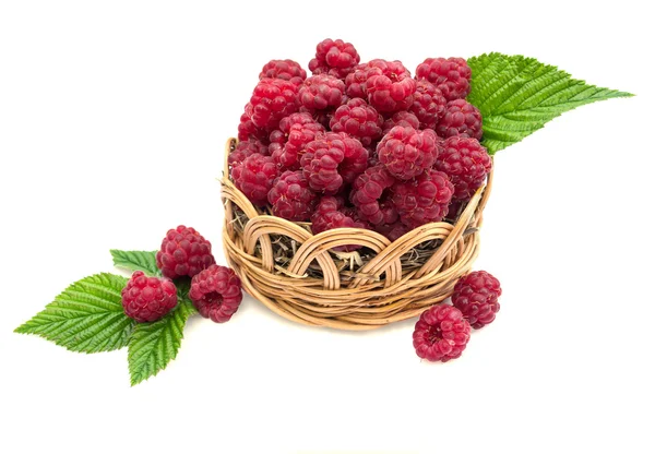 Ripe raspberries in a wicker basket isolated on white background — Stock Photo, Image