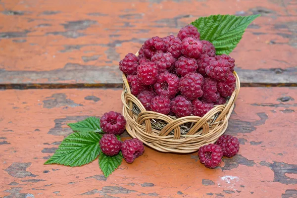 Framboesas maduras em uma cesta de vime. Frutas — Fotografia de Stock