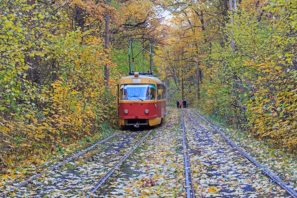 Tram goes through a tunnel in the forest. Kiev, Ukraine — Stock Photo, Image