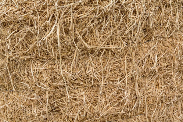 Dry hay closeup image as natural background — Stock Photo, Image