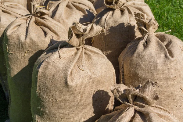 Pile of filled bags standing on the grass. Agriculture — Stock Photo, Image