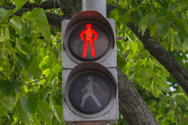 Röd trafiksignal hängande på trä bakgrund. Transport — Stockfoto