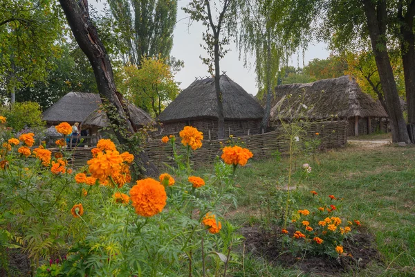 Oude huizen van boeren en bloemen op de voorgrond — Stockfoto
