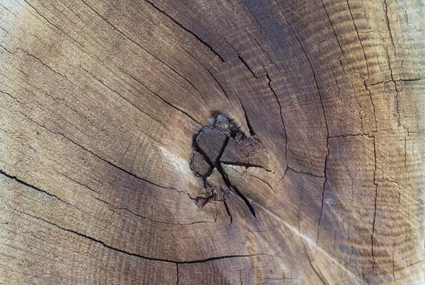 Antiguos troncos de madera agrietados. Fondos y texturas — Foto de Stock