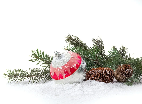 Kerstmis decoratie van kerstbomen en kegels op een witte bac — Stockfoto