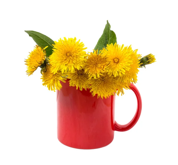 Dandelions amarelos em uma xícara vermelha — Fotografia de Stock