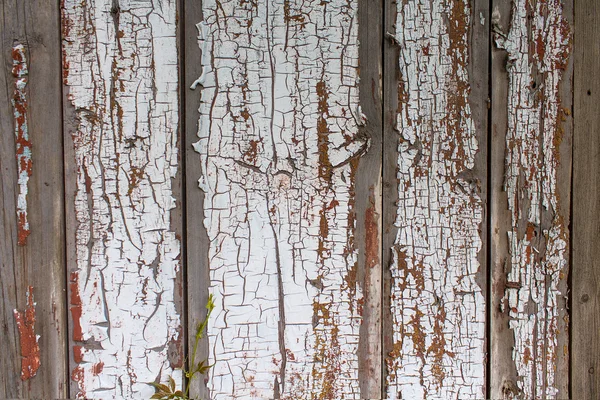 White painted wood planks. Background and texture — Stock Photo, Image