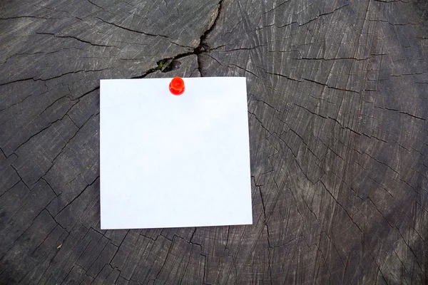 Hoja de papel en blanco en el viejo muñón agrietado — Foto de Stock