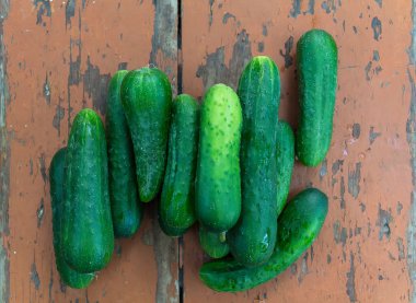 Taze salatalık Kuru yüzey vintage tablo. Rustik