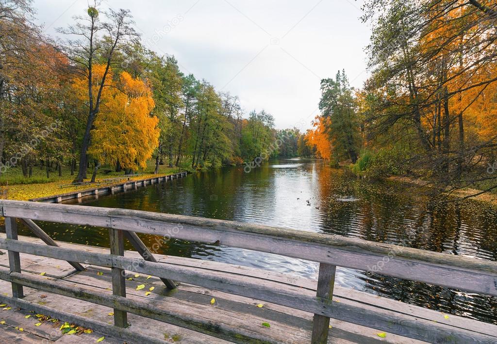 Bridge over a pond in autumn park
