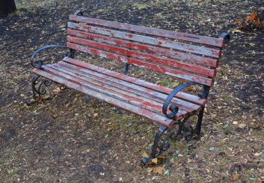 Boş tezgah sonbahar parkta. Doğa ve Seasons