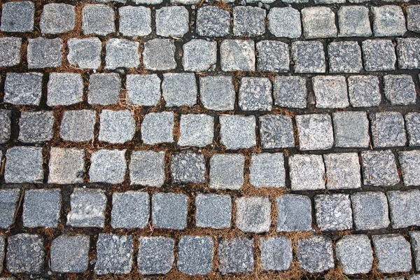 Grijze straatstenen en gele gras. Achtergronden en texturen — Stockfoto