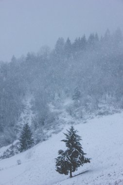 Yalnız olduğun zaman