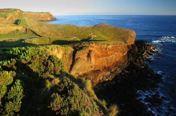 Portugal - Azores - Terceira - Vila Nova coast — Foto de Stock