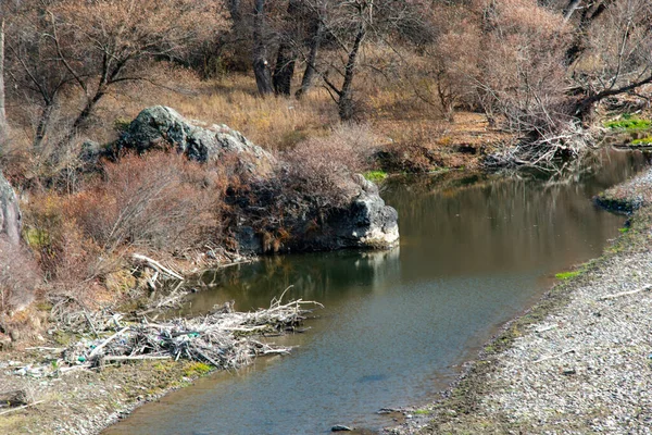 Kuru nehir ve seyrek bitki örtüsü. Sonbahar