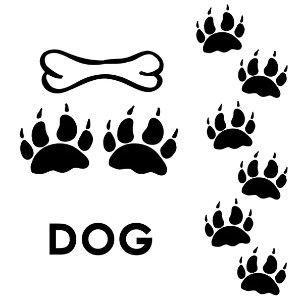 Huellas de pata de perro — Vector de stock