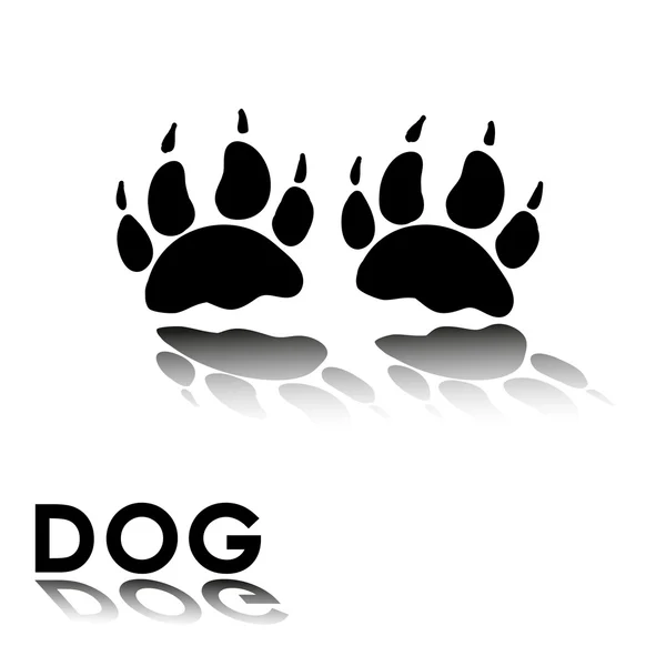Dog's paw prints — Stockvector