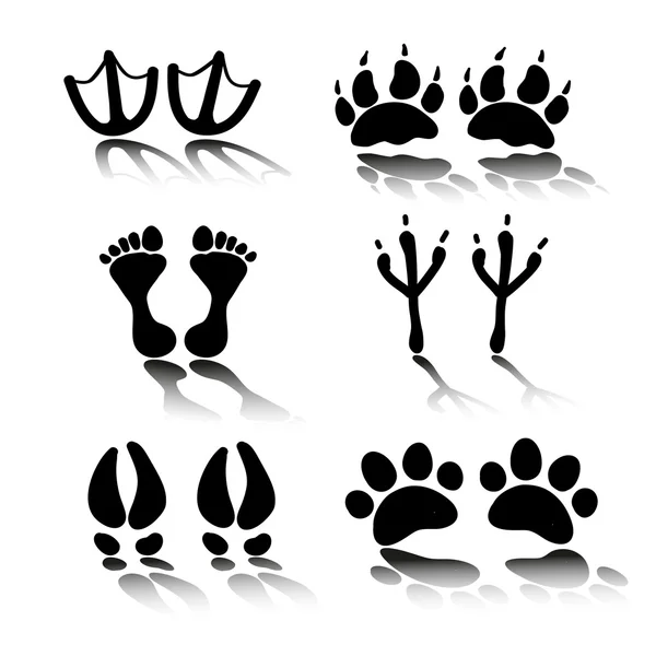 People and pets footsteps — Stock Vector