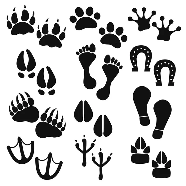 Traces of animals, birds, people — Stock Vector