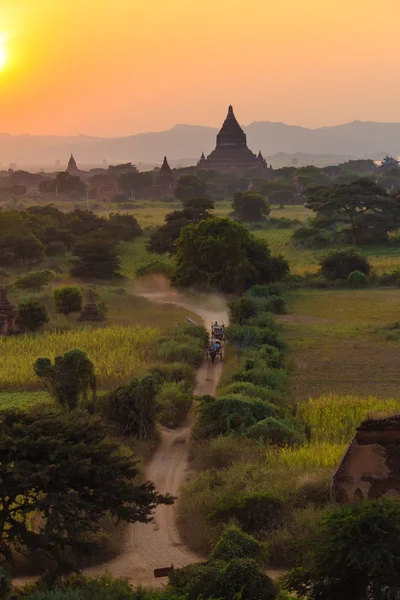 Carro de caballo y puesta del sol, Bagan en Myanmar (Burmar ) — Foto de Stock