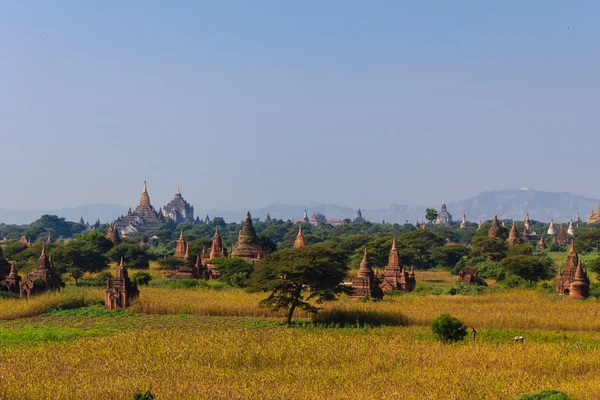 Pagoda, Баган в М'янмі (Burmar) — стокове фото