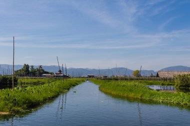Yüzen Çiftlik, Myanmar 'da inle Gölü (Burmar)