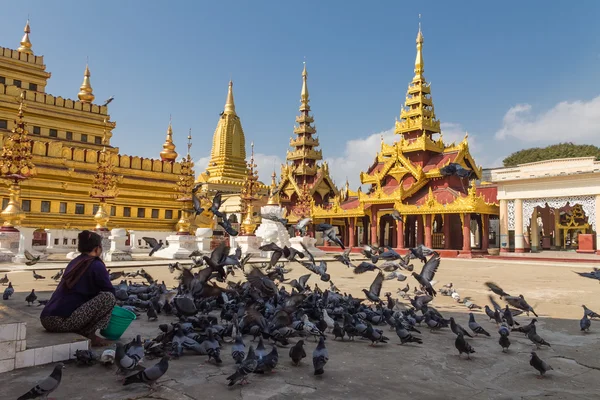 Feeding Bird at Shwezigon Pagoda — Stock Photo, Image